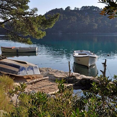 Authentic Ap For 2, Babino Polje,Mljet Lägenhet Exteriör bild