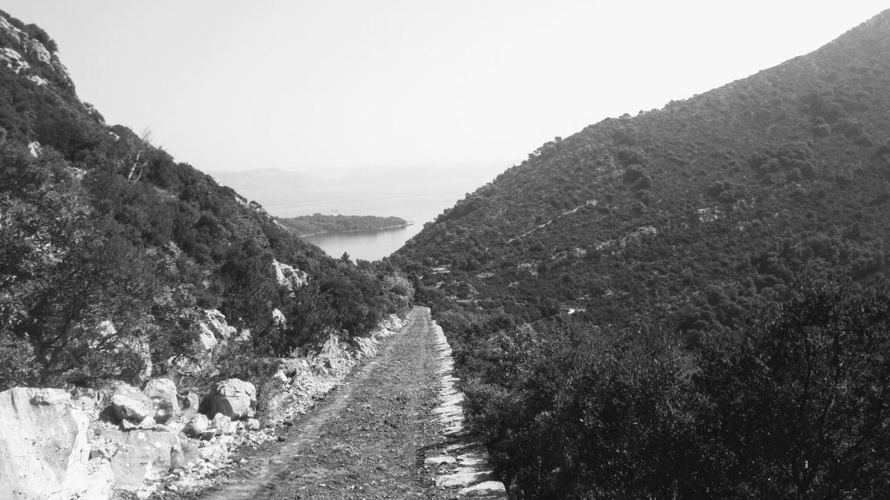 Authentic Ap For 2, Babino Polje,Mljet Lägenhet Exteriör bild