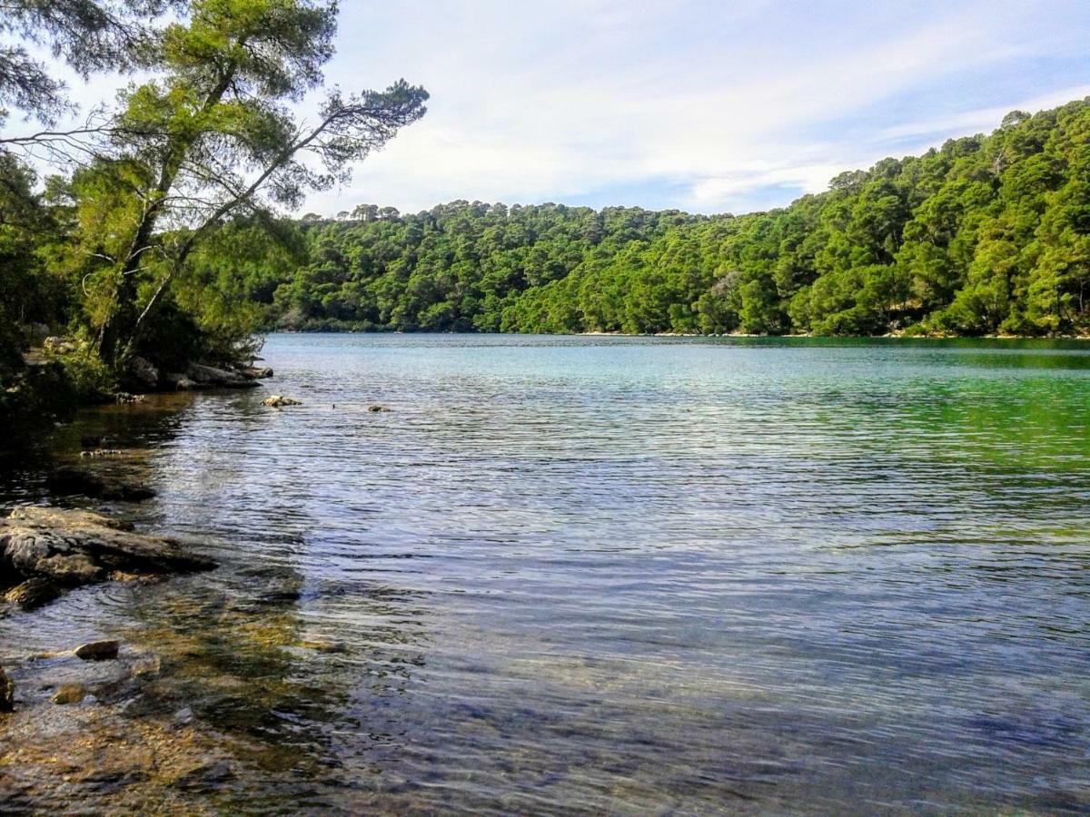 Authentic Ap For 2, Babino Polje,Mljet Lägenhet Exteriör bild