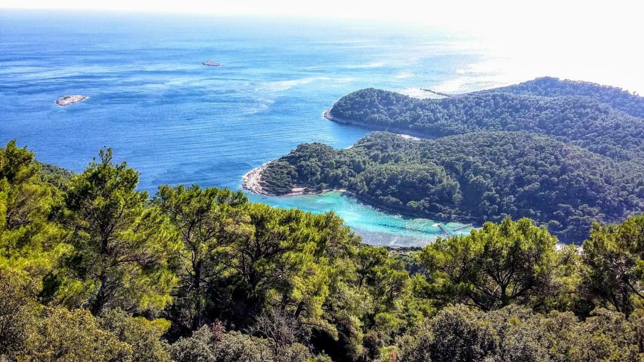 Authentic Ap For 2, Babino Polje,Mljet Lägenhet Exteriör bild