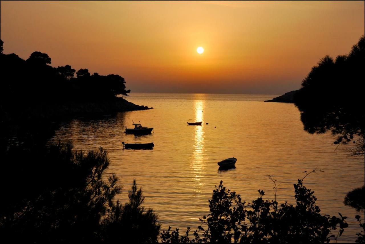 Authentic Ap For 2, Babino Polje,Mljet Lägenhet Exteriör bild