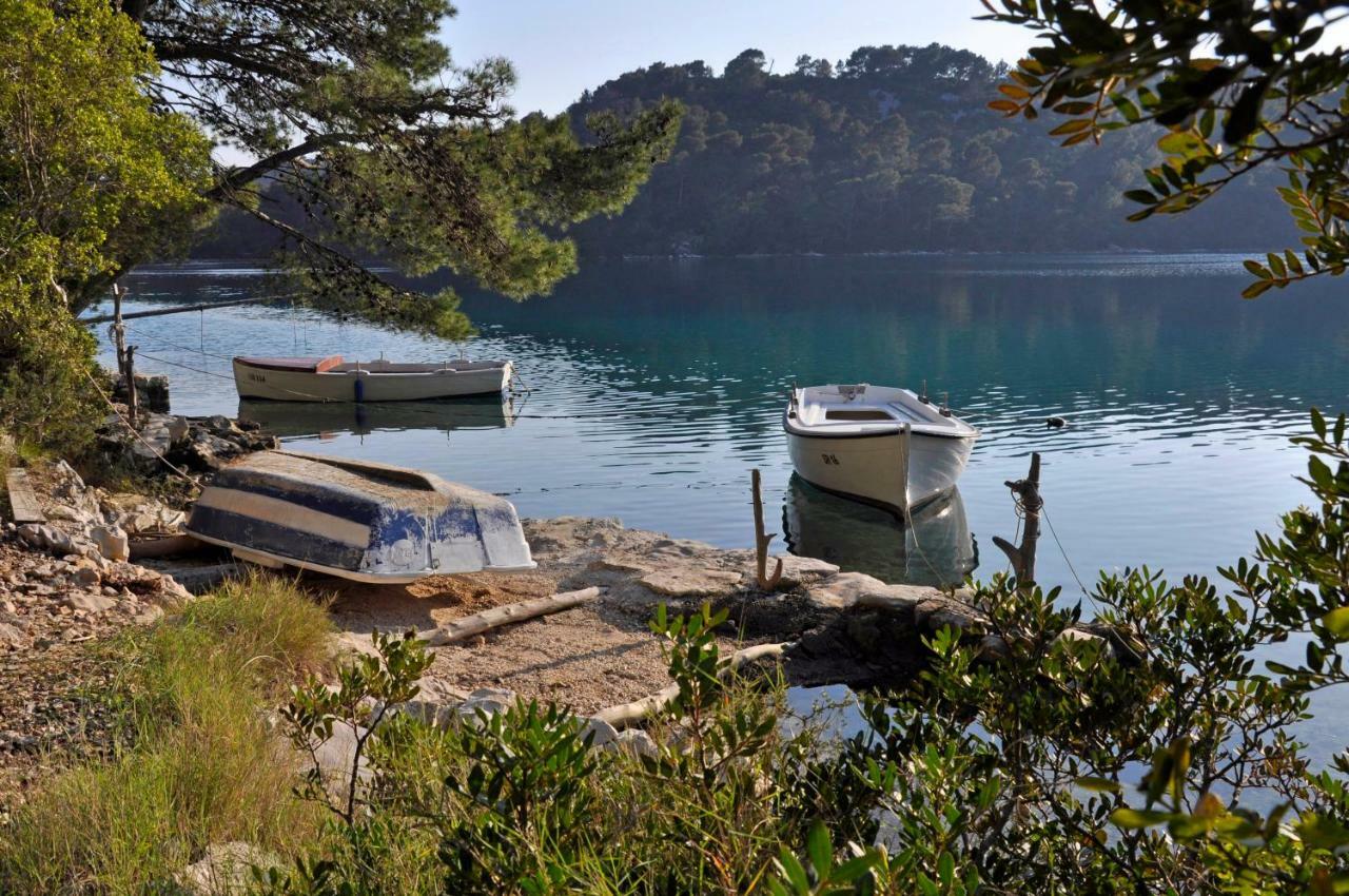 Authentic Ap For 2, Babino Polje,Mljet Lägenhet Exteriör bild