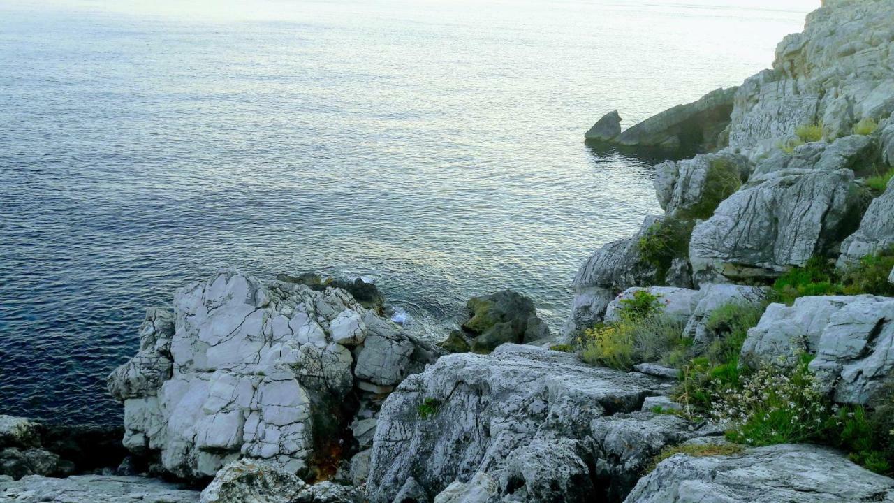 Authentic Ap For 2, Babino Polje,Mljet Lägenhet Exteriör bild