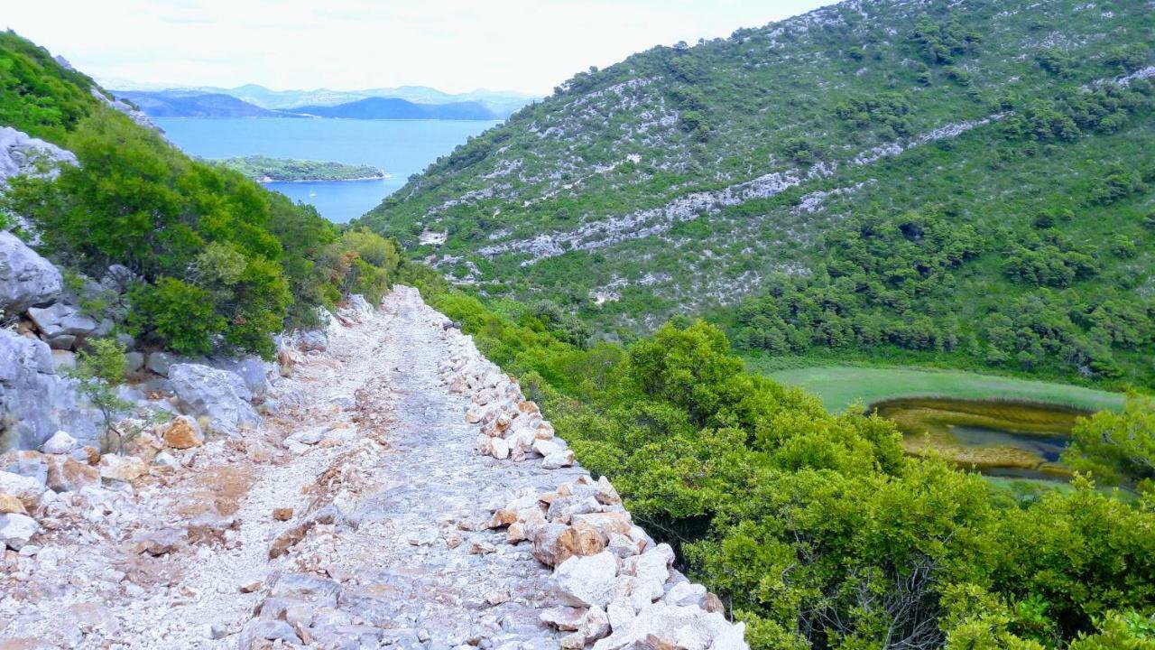 Authentic Ap For 2, Babino Polje,Mljet Lägenhet Exteriör bild