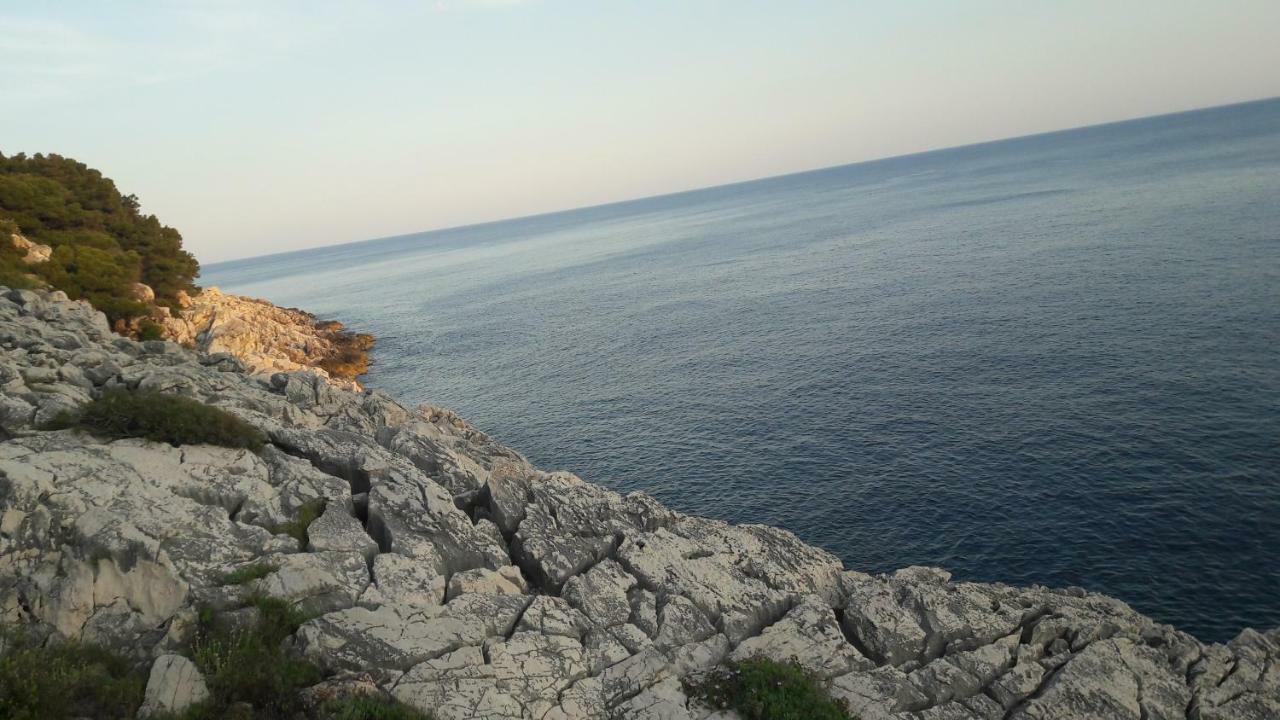 Authentic Ap For 2, Babino Polje,Mljet Lägenhet Exteriör bild